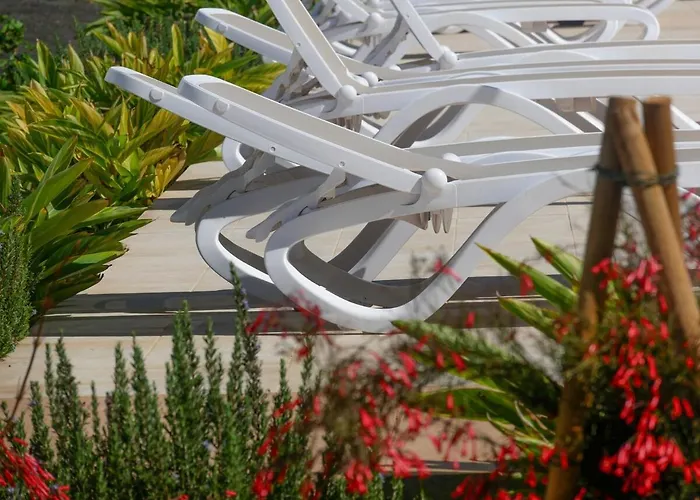 Oasis In Paradise With Pool *