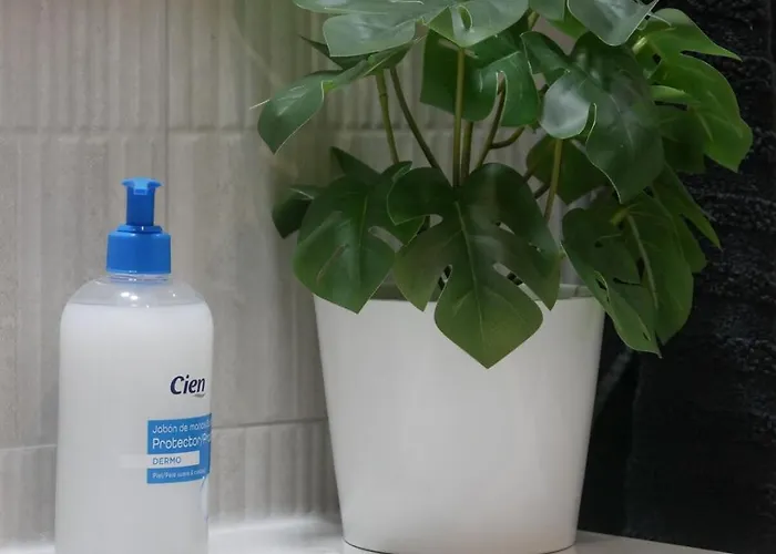 Oasis In Paradise With Pool Apartment La Oliva