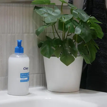 Oasis In Paradise With Pool 公寓 拉·奥利瓦